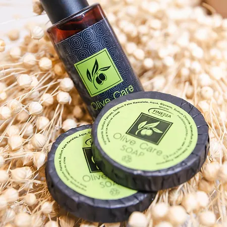 Lithodia - Λιθωδία Apartment *