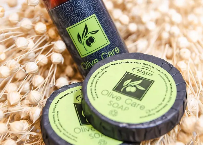 Lithodia - λιθωδία Apartmán *