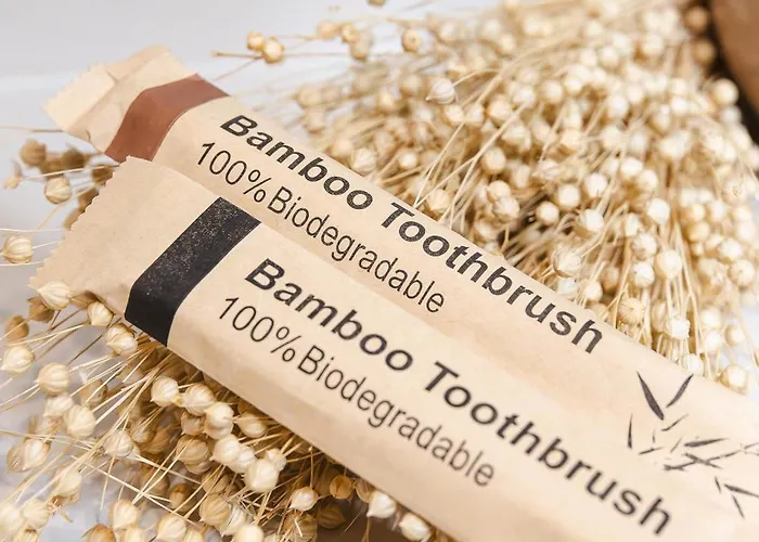 Apartmán Lithodia - λιθωδία *